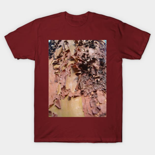 Peeling Bark T-Shirt by SomewhereHere